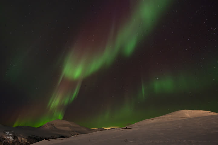 Green and red aurora borealis arcing over a snowy hill