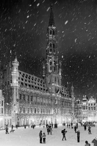 Brussels Town Hall during a snowfall at night, in black and white
