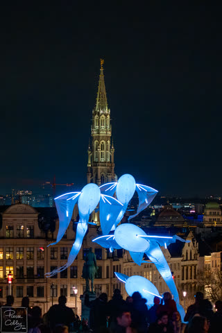Glowing blue fish light installation in front of the Town Hall spire, Brussels