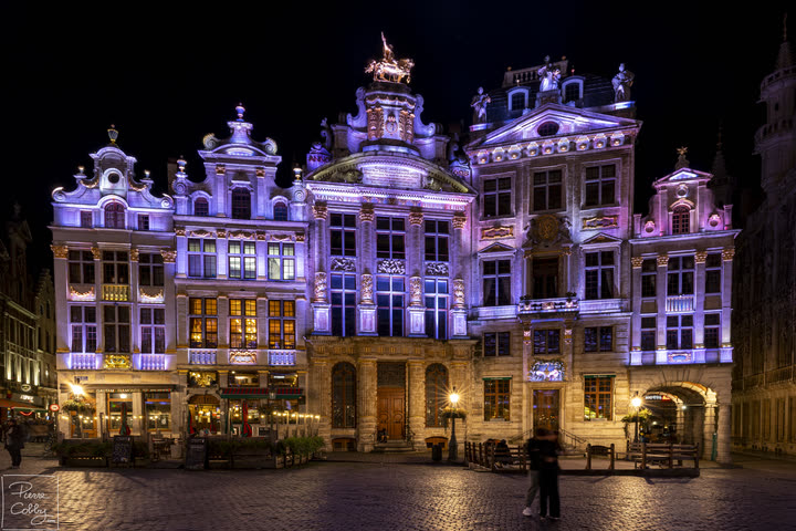 Guild houses of the Grand-Place lit in purple at night, Brussels