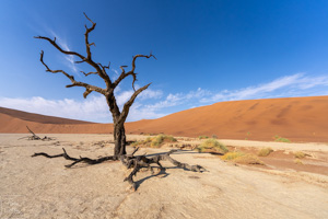 Deadvlei