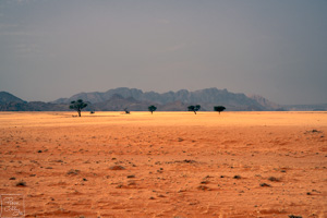 Savane