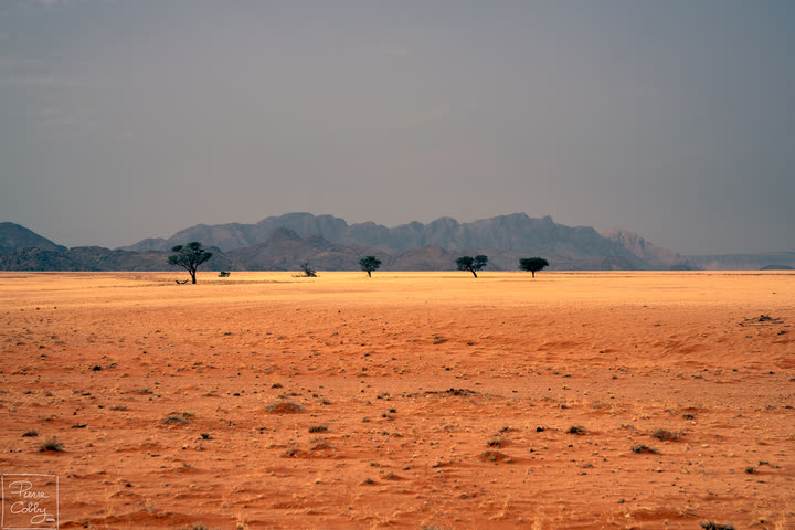 Vast open plain of red earth with distant mountains