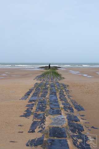 Wooden groyne leading towards the sea on Ostend beach