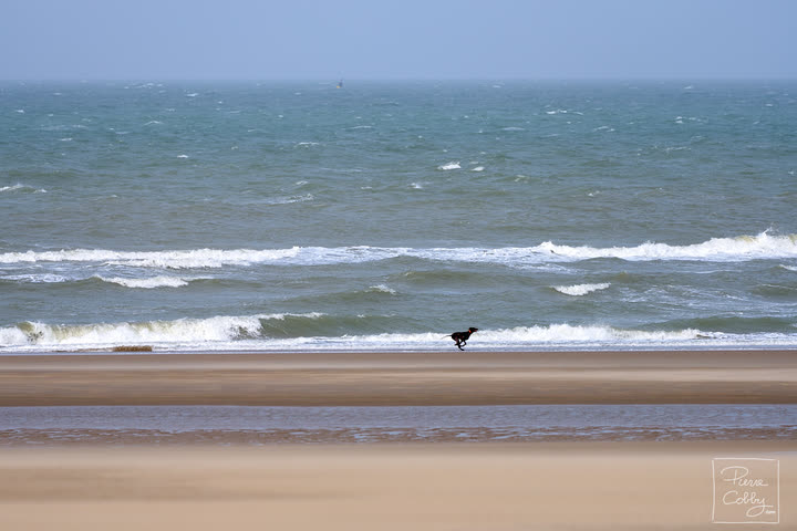 Waves of the North Sea breaking on Ostend beach