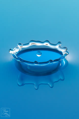 Water crown splash on a blue background