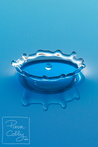 Waterdrop Photography